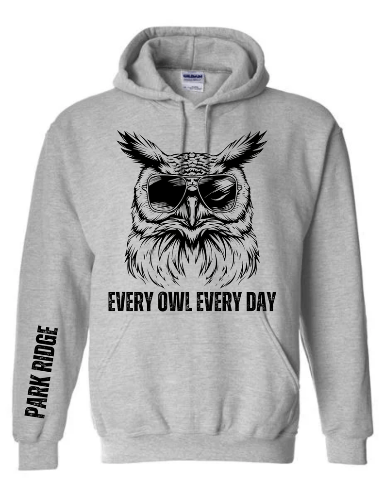 Owl hoodie hotsell