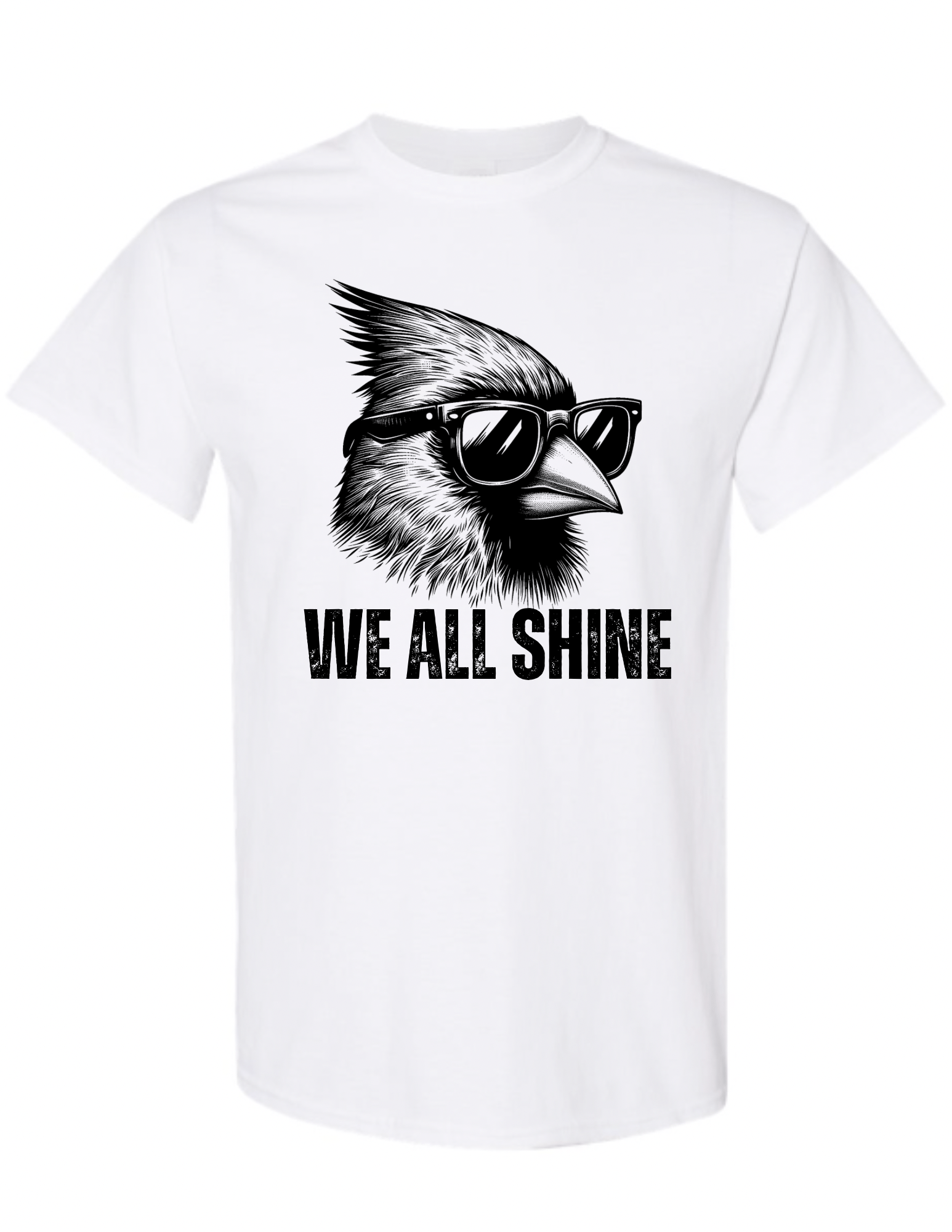 We all Shine Soft style T-shirt: Adult Beyond the Barre