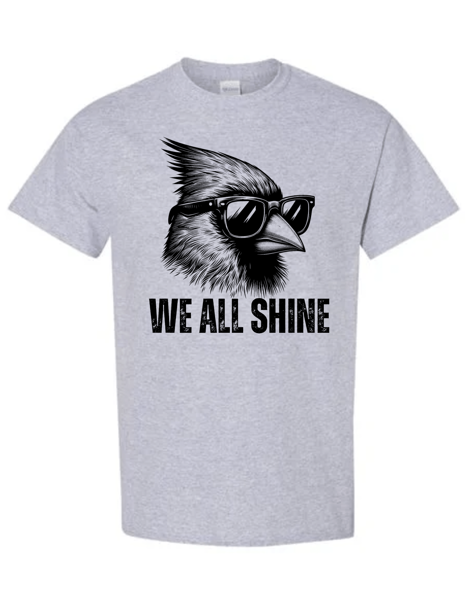 We all Shine Soft style T-shirt: Adult Beyond the Barre