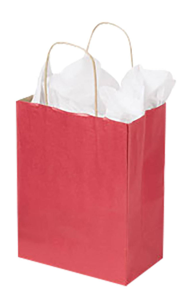 Store Supply Warehouse - Colorful Kraft Paper Shopping Bags Store Supply Warehouse